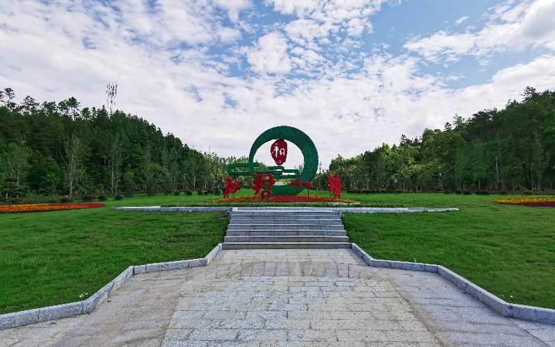 和君职业学院
