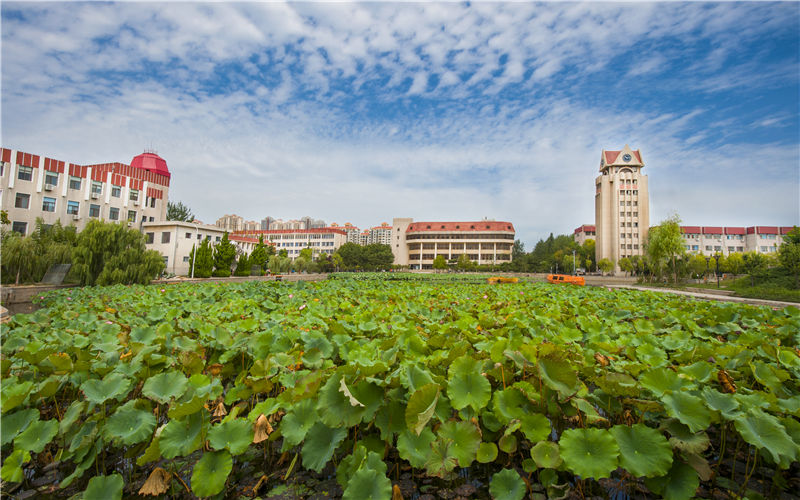 烟台大学