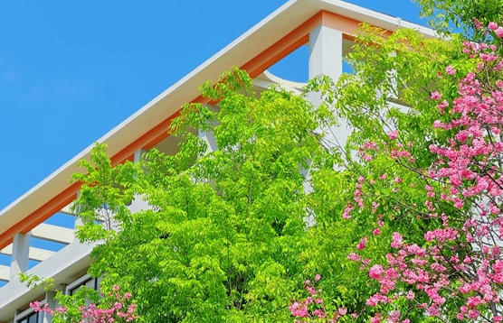 云南轻纺职业学院