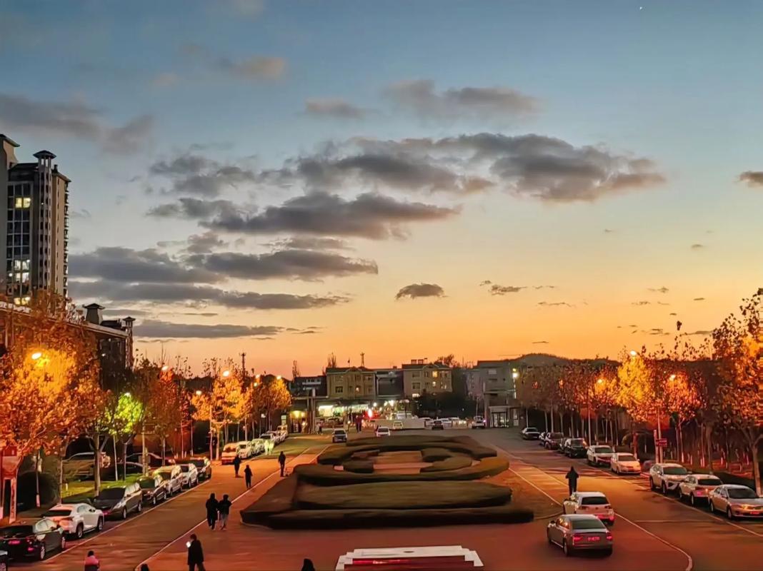 山东城市服务职业学院