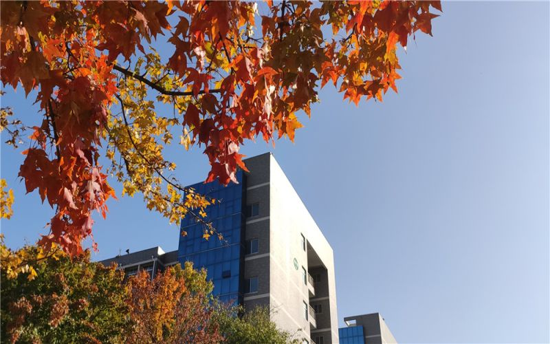 枣庄职业学院