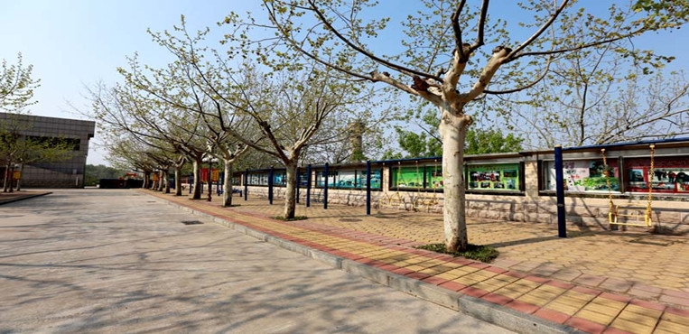 山东特殊教育职业学院