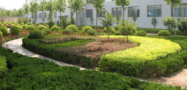 山东信息职业技术学院