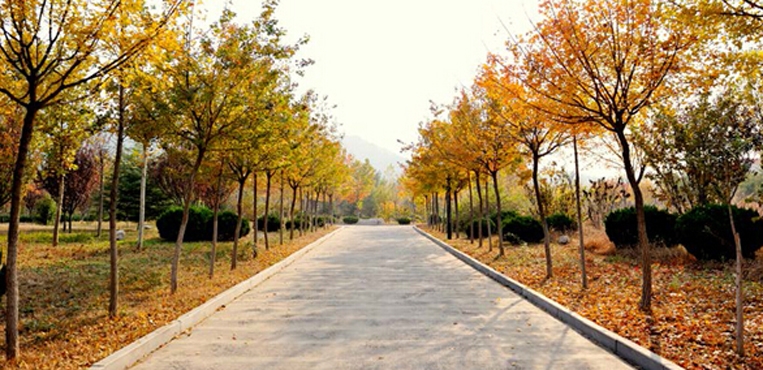 山东商业职业技术学院