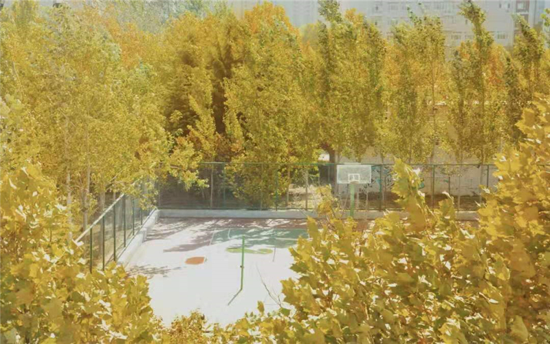 河南工业大学