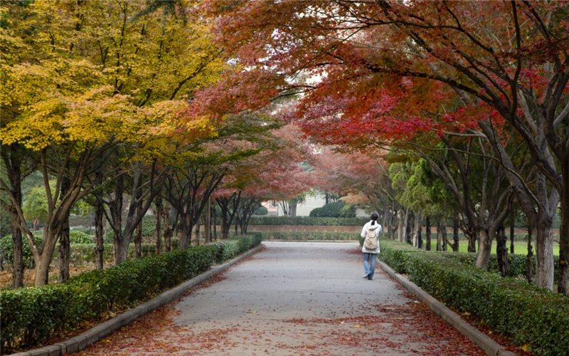 河南科技大学