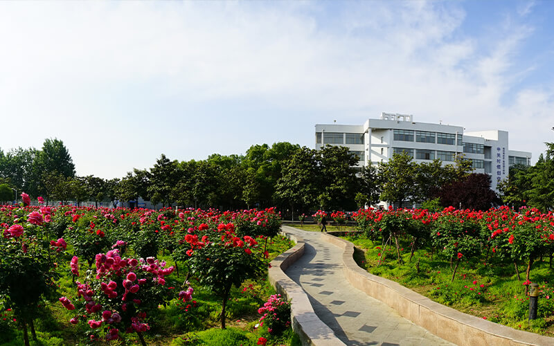 南阳理工学院
