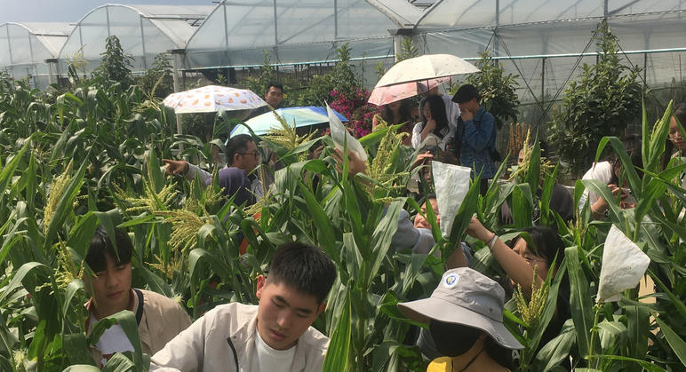 德宏师范高等专科学校