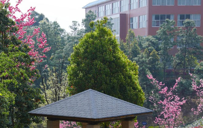 云南机电职业技术学院