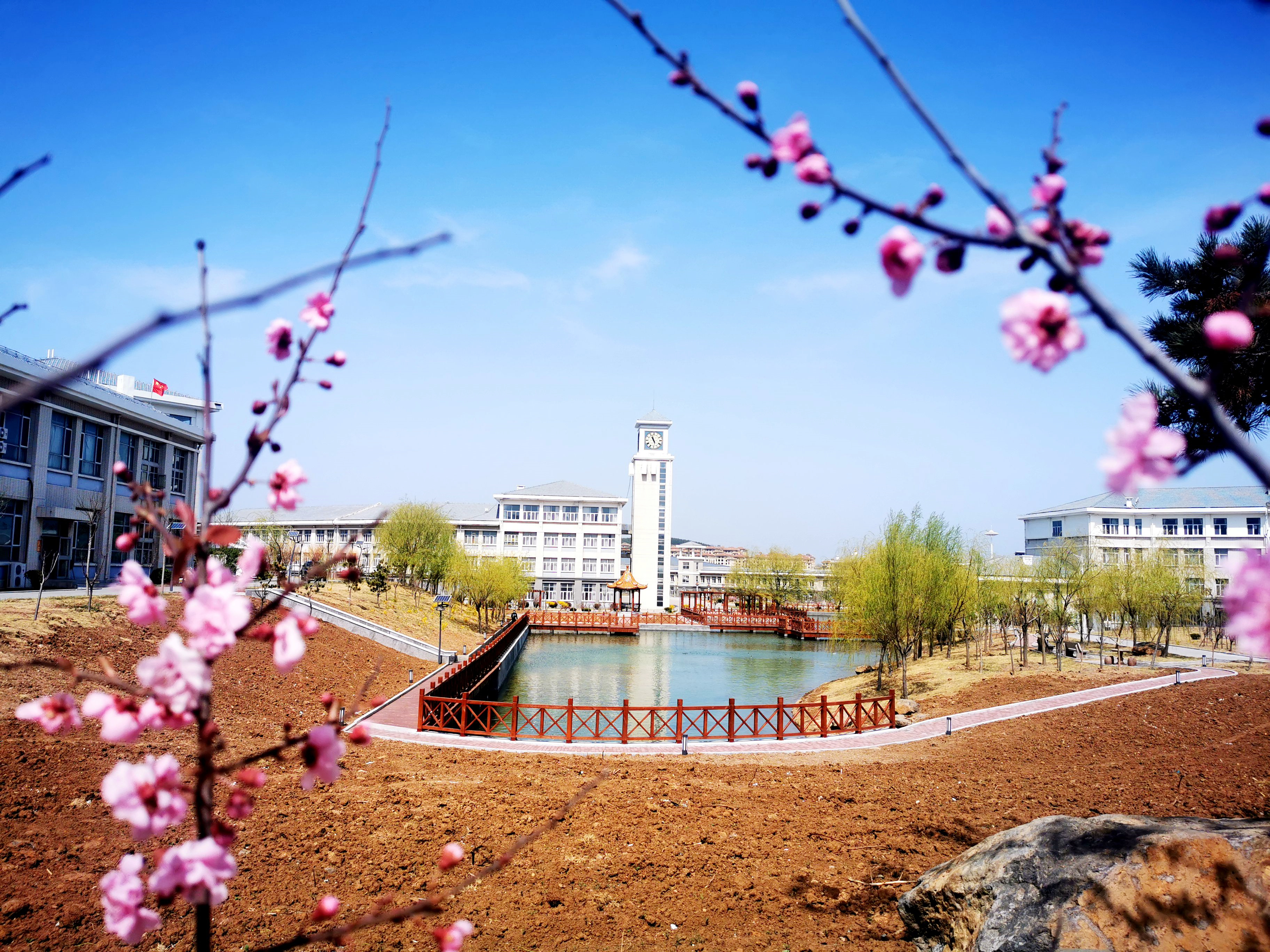 烟台幼儿师范高等专科学校