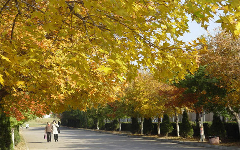 郑州电力职业技术学院