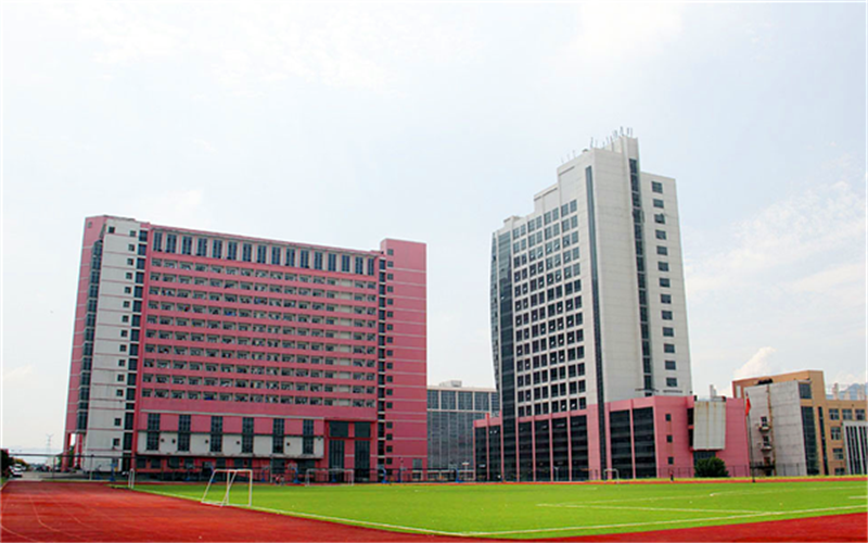 齐鲁医药学院