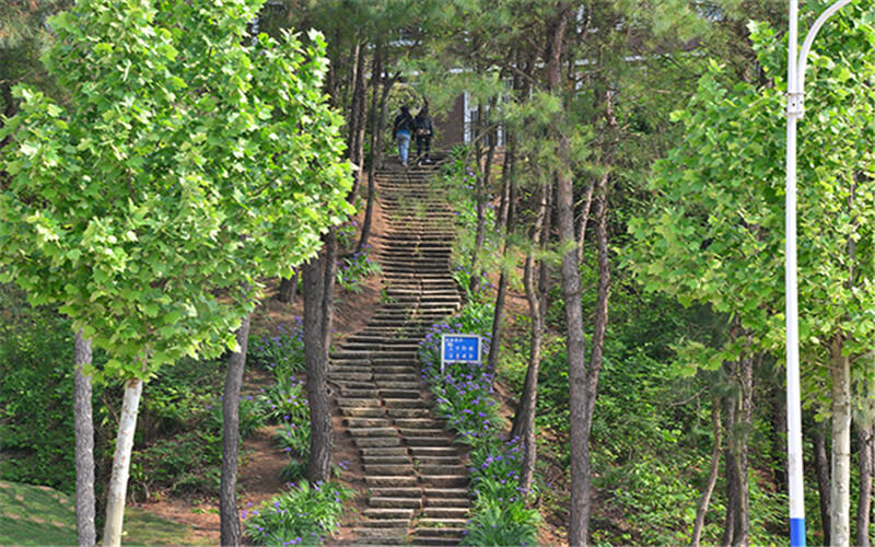 信阳学院