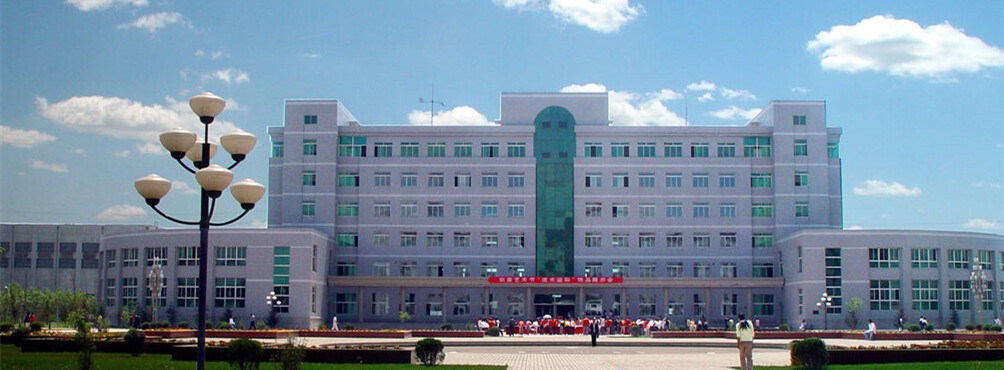 嵩山少林武术职业学院