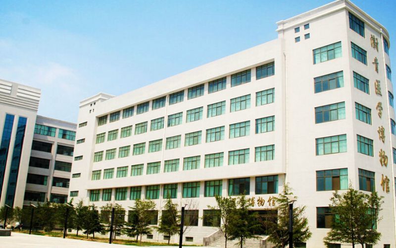 郑州澍青医学高等专科学校