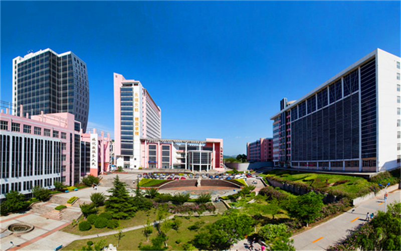 齐鲁医药学院