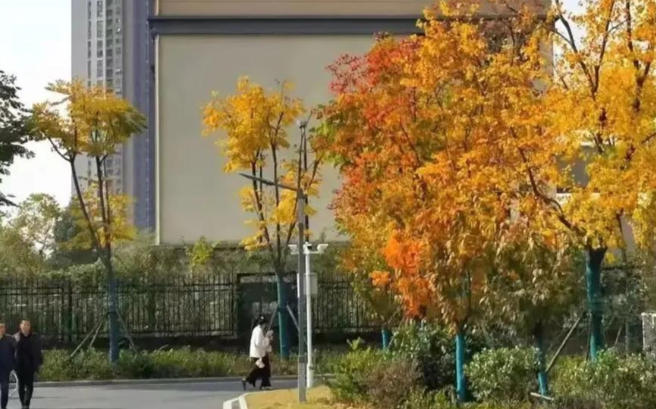 安徽工商职业学院