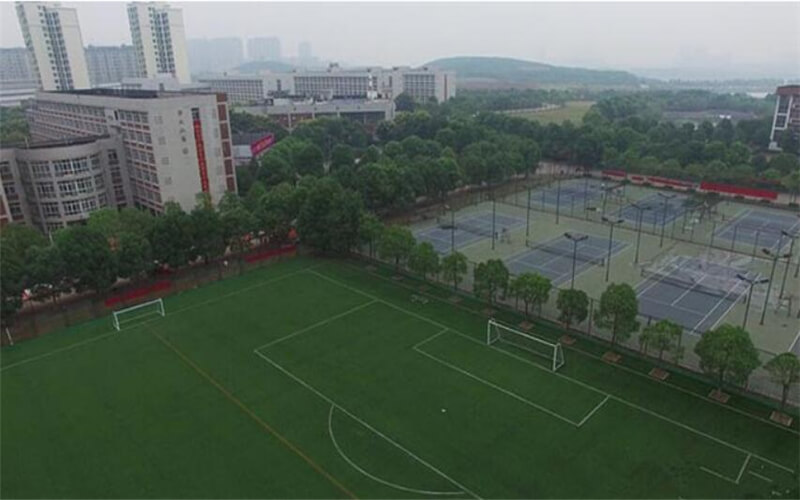 武汉体育学院体育科技学院