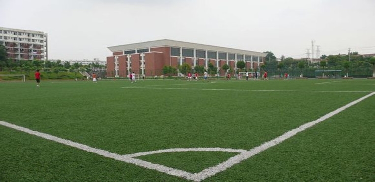 武汉城市学院