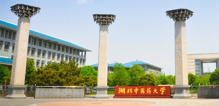 湖北中医药大学