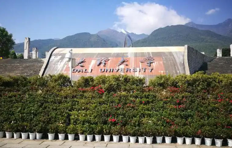 大理大学