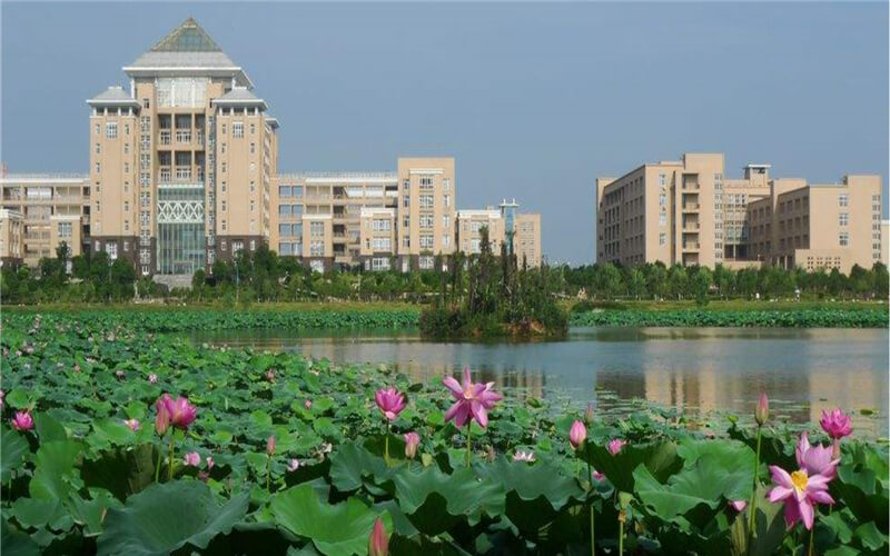 武汉科技大学