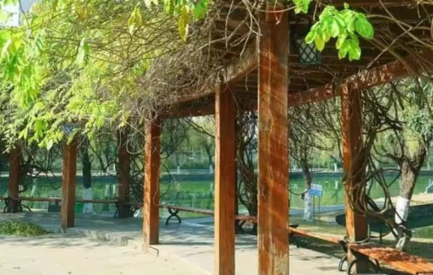 安徽工商职业学院