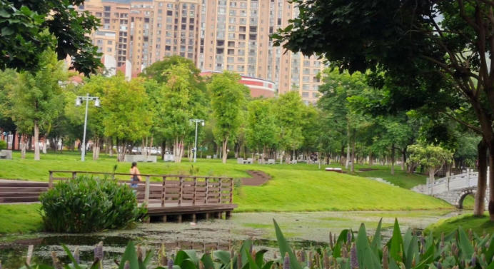 保山学院
