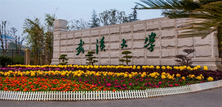 武汉大学