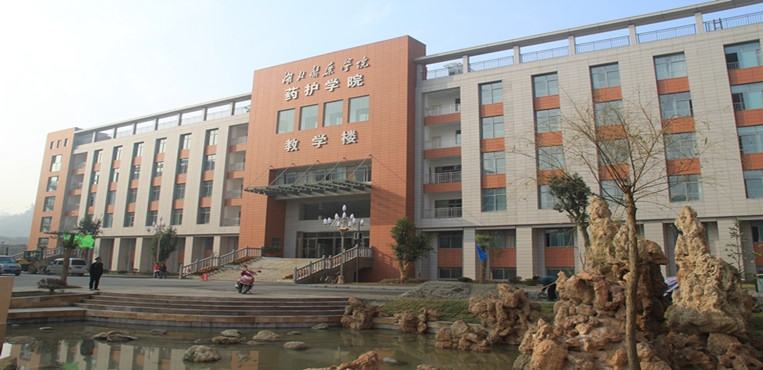 湖北医药学院药护学院