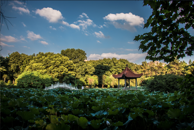 武汉工程大学邮电与信息工程学院
