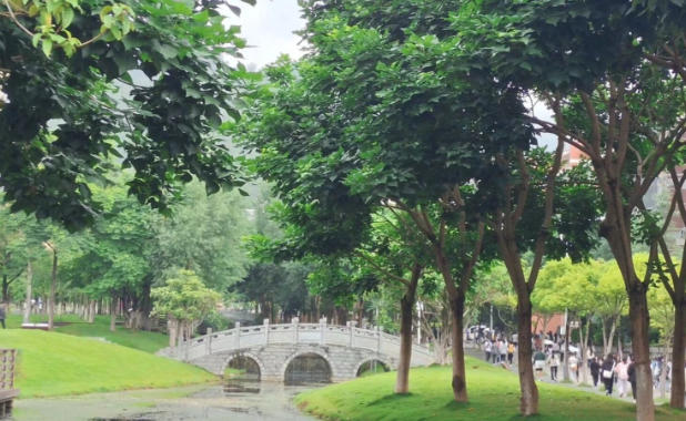 保山学院
