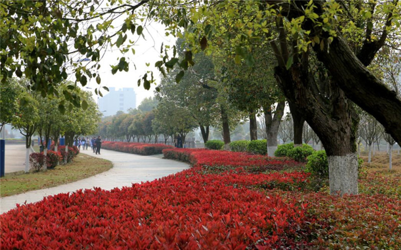 永州职业技术学院