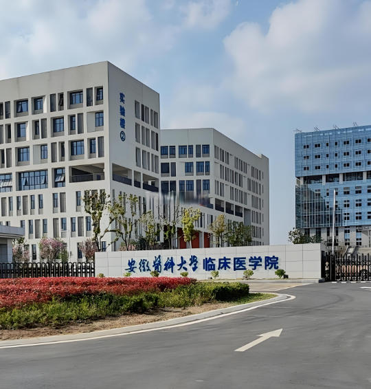 安徽医科大学临床医学院