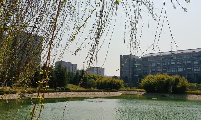 合肥经济学院