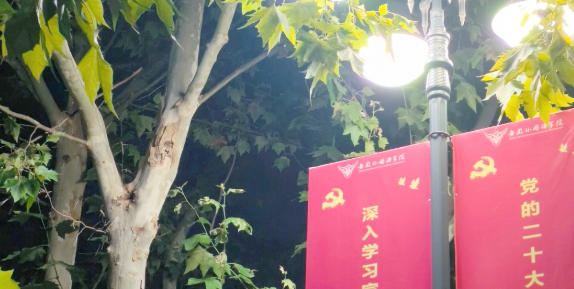 安徽外国语学院
