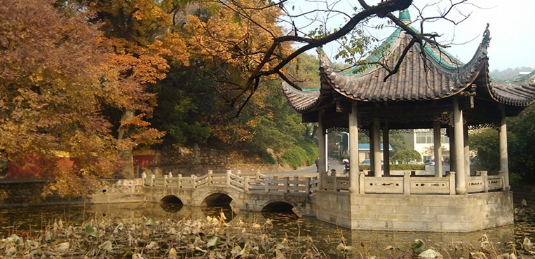 湖南大学