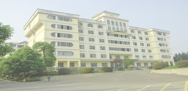 湖南电子科技职业学院