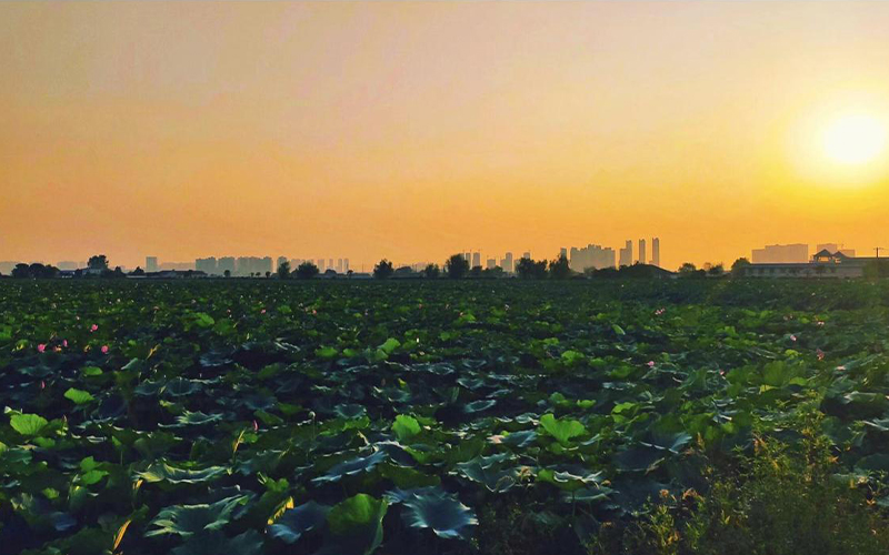 湖北铁道运输职业学院