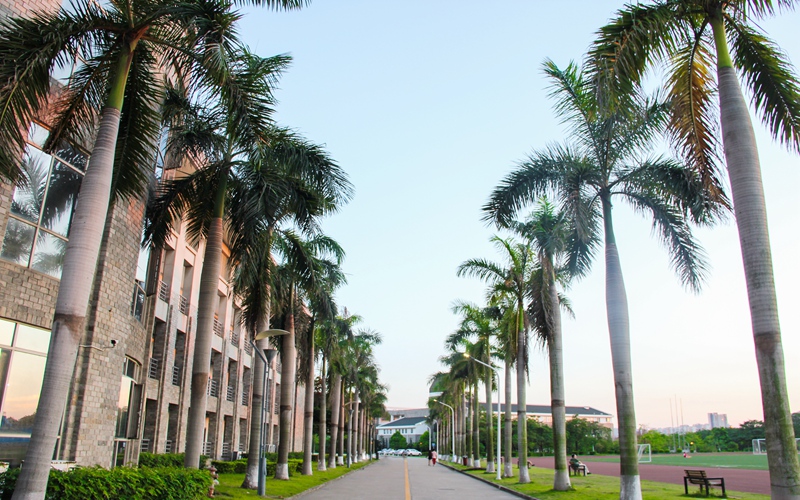 广东东软学院