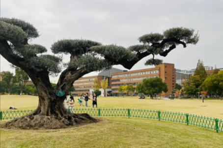 宁波大学