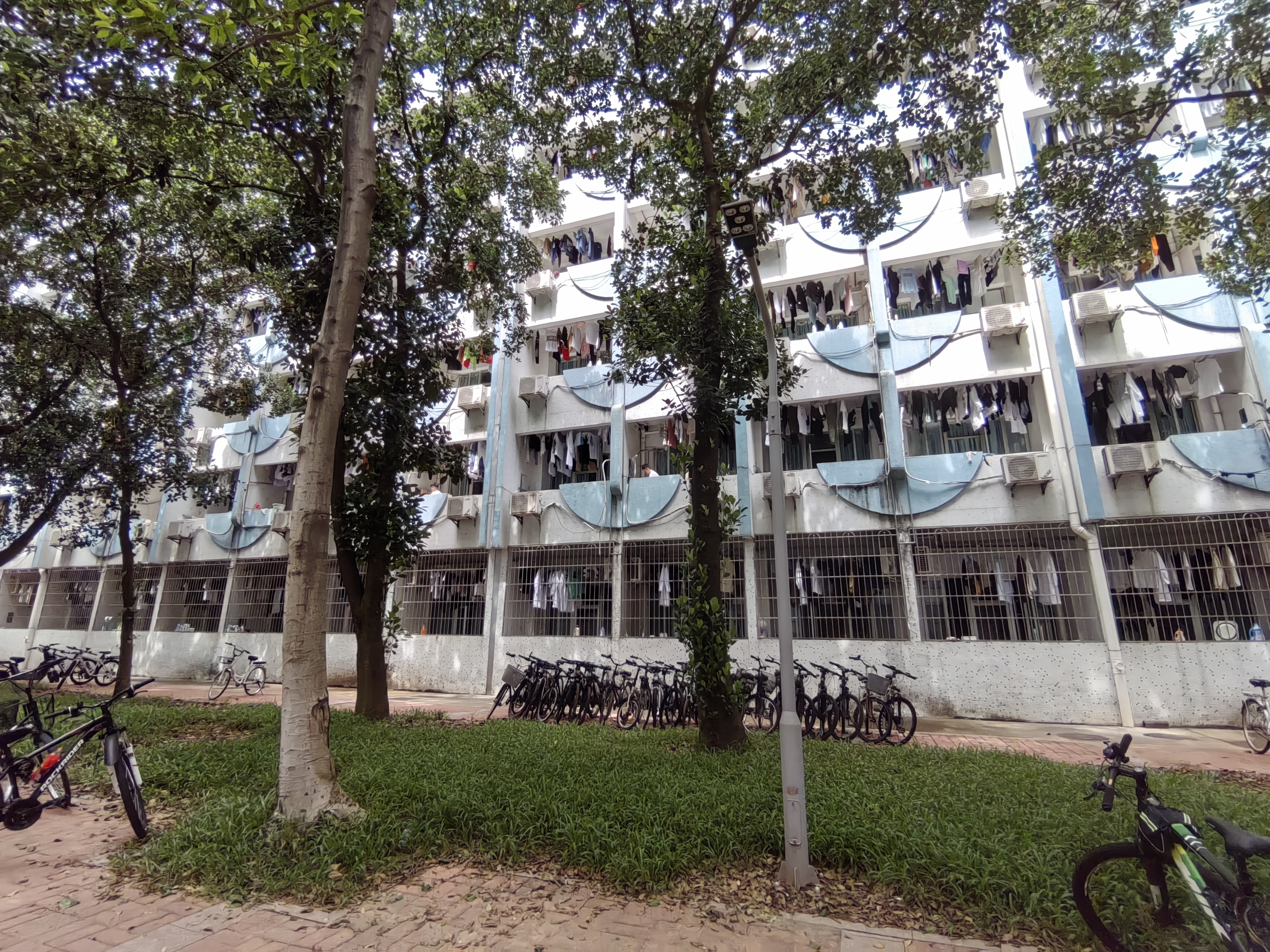 中山大学
