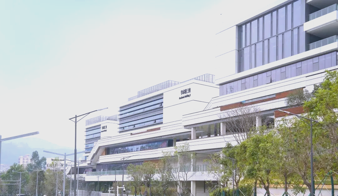 香港城市大学（东莞）