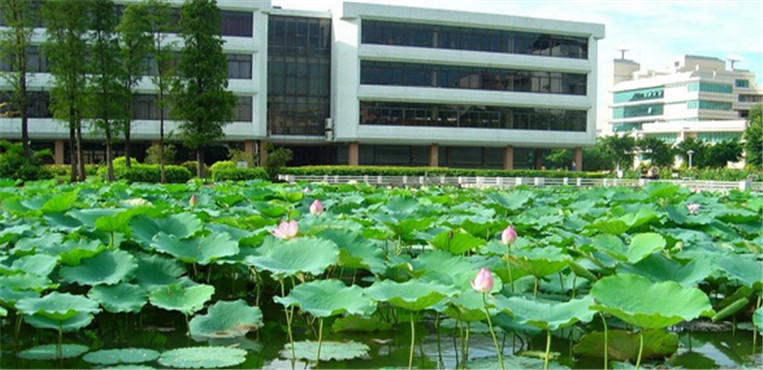 佛山大学