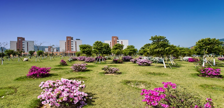 珠海科技学院
