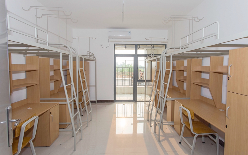 广东东软学院