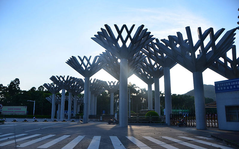 揭阳职业技术学院
