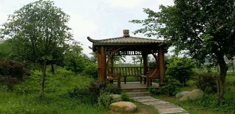 广东信息工程职业学院