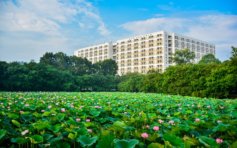 广东信息工程职业学院