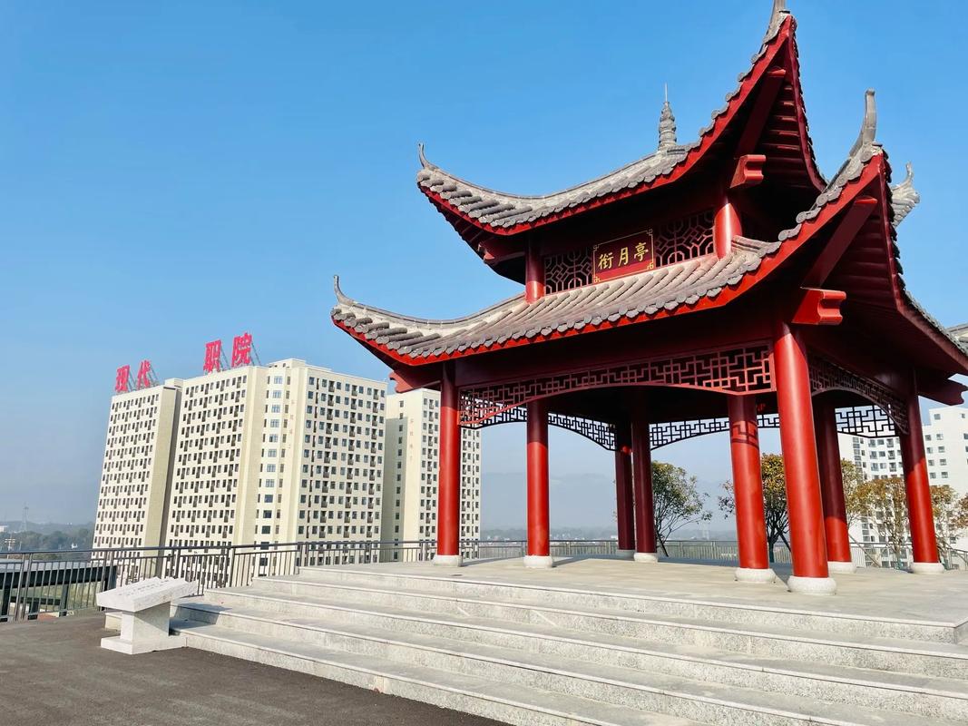 岳阳现代服务职业学院